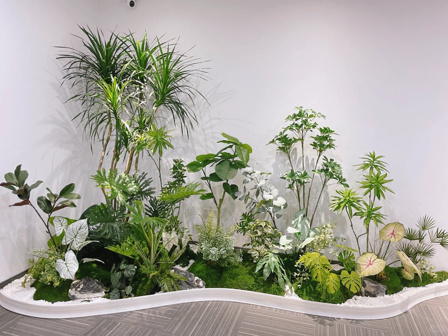 专业奉化植物租摆，让绿植点亮您的世界